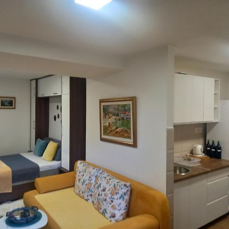T-A Apartment Rijeka Crnojevica Luaran gambar