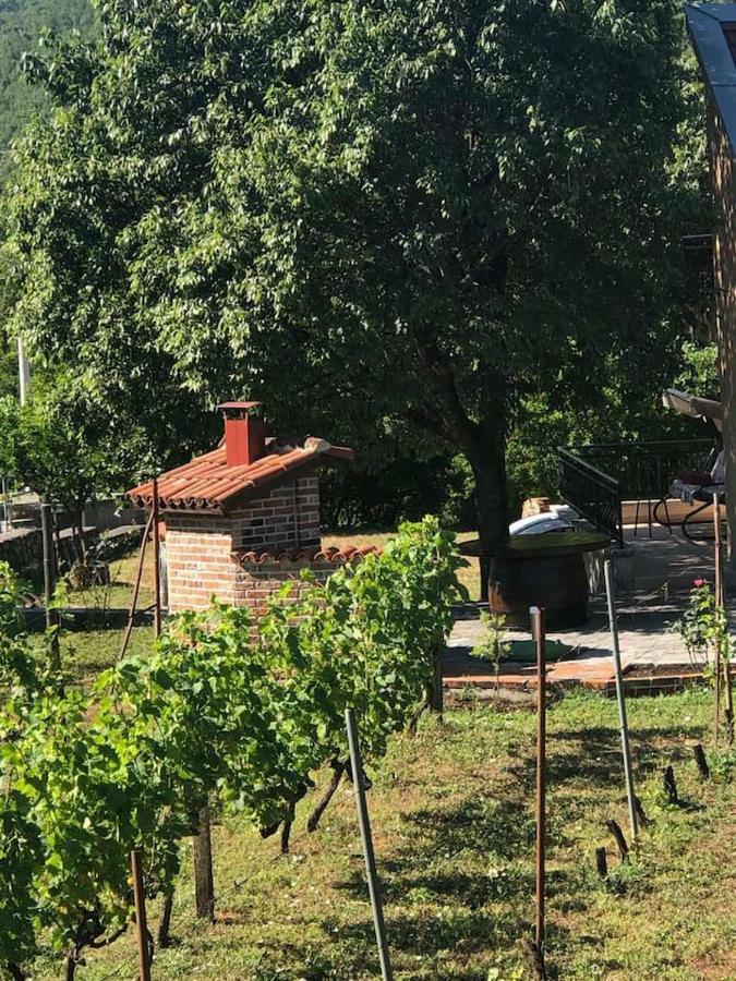 T-A Apartment Rijeka Crnojevica Luaran gambar
