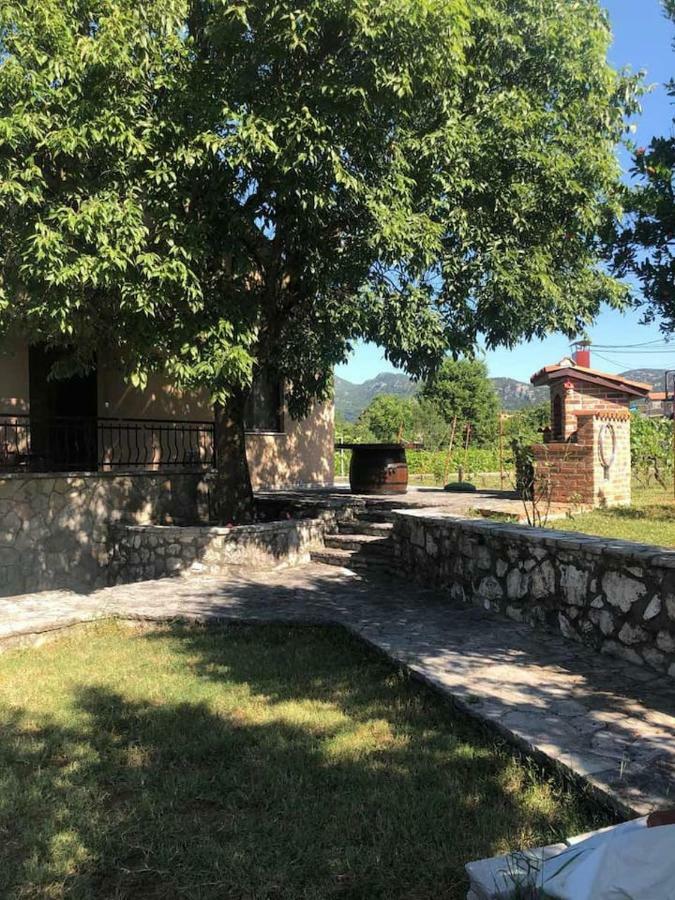 T-A Apartment Rijeka Crnojevica Luaran gambar