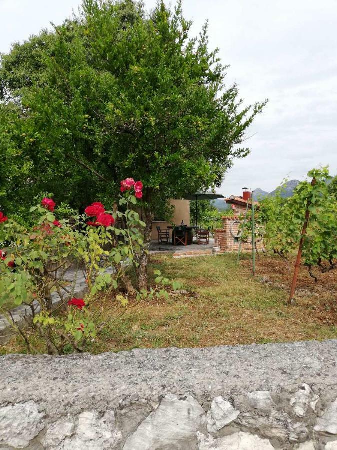 T-A Apartment Rijeka Crnojevica Bilik gambar